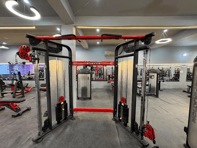 Free Weights & Machines